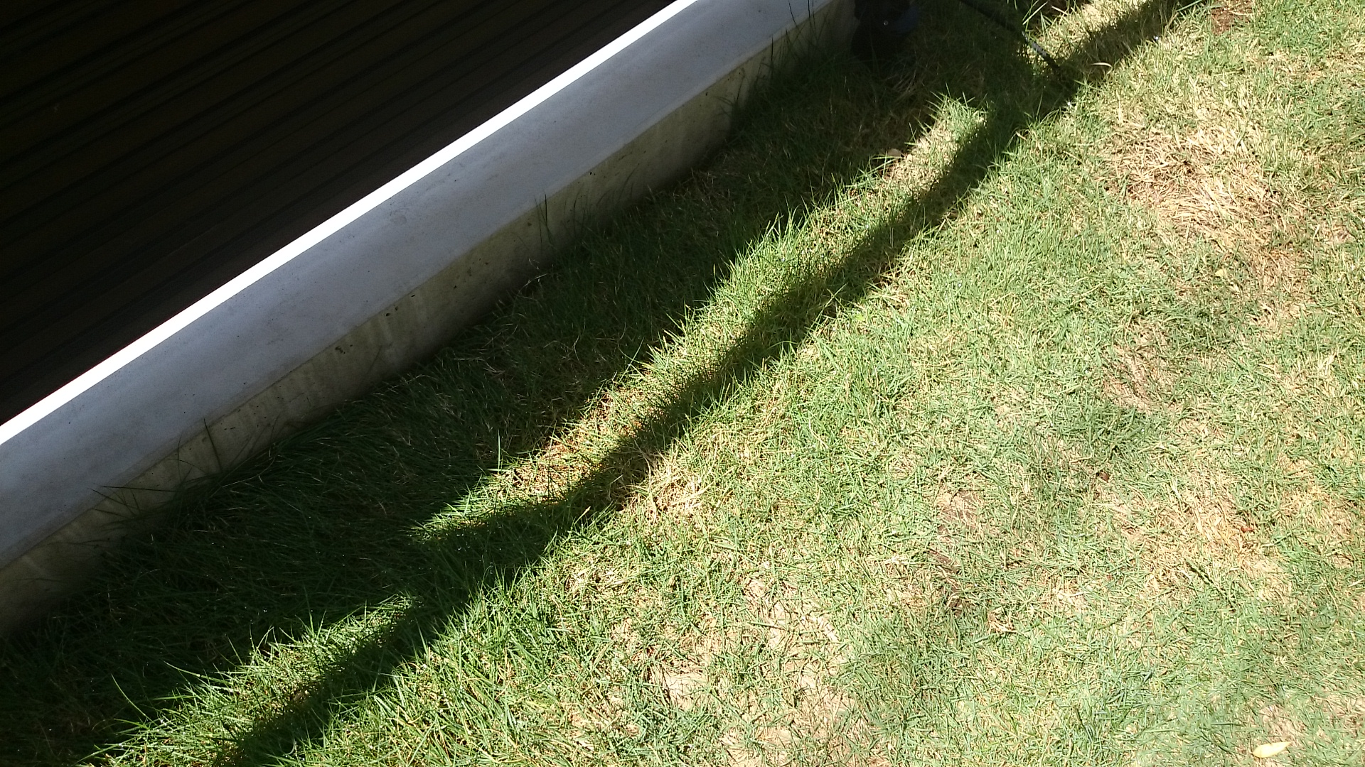 Diyガーデニング 知らなかった芝のお手入れ方法と2年目の芝生の様子 初めての芝張り Smart House Cool Life