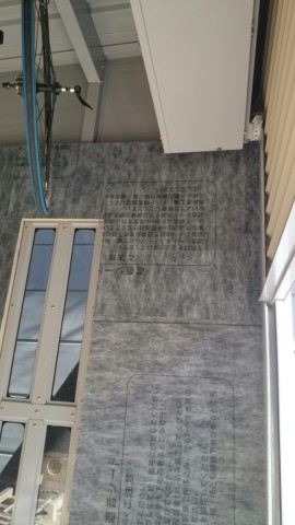 DSC_1450-1080x1920