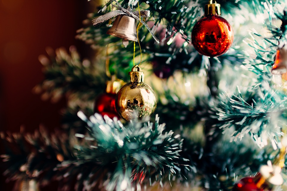 外構計画 シンボルツリーはクリスマスツリーで如何でしょう 参考価格 種類 育て方 レンタルなどの情報あり Smart House Cool Life